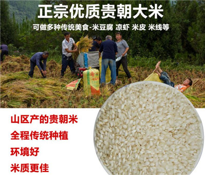 5ea7c216cb2e3.jpg QQ浏览器截图20200428132031.jpg