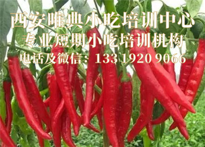 5f07ef1a17e3c.jpg u=1837100278,1418898998&fm=26&gp=0_副本.jpg